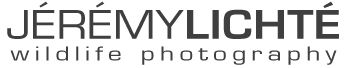alex-zane-logo